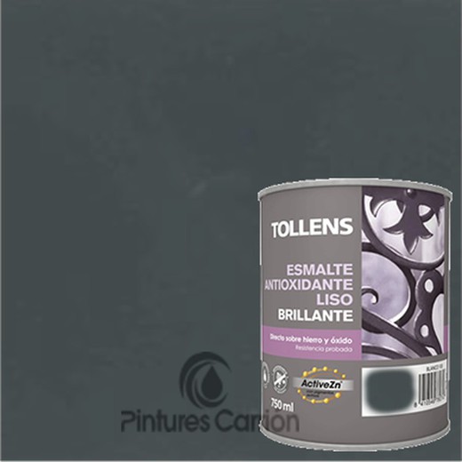Esmalte antioxidante liso brillante gris medio marca Tollens