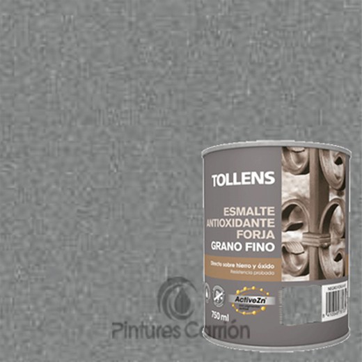 Esmalte forja grano fino gris acero marca Tollens